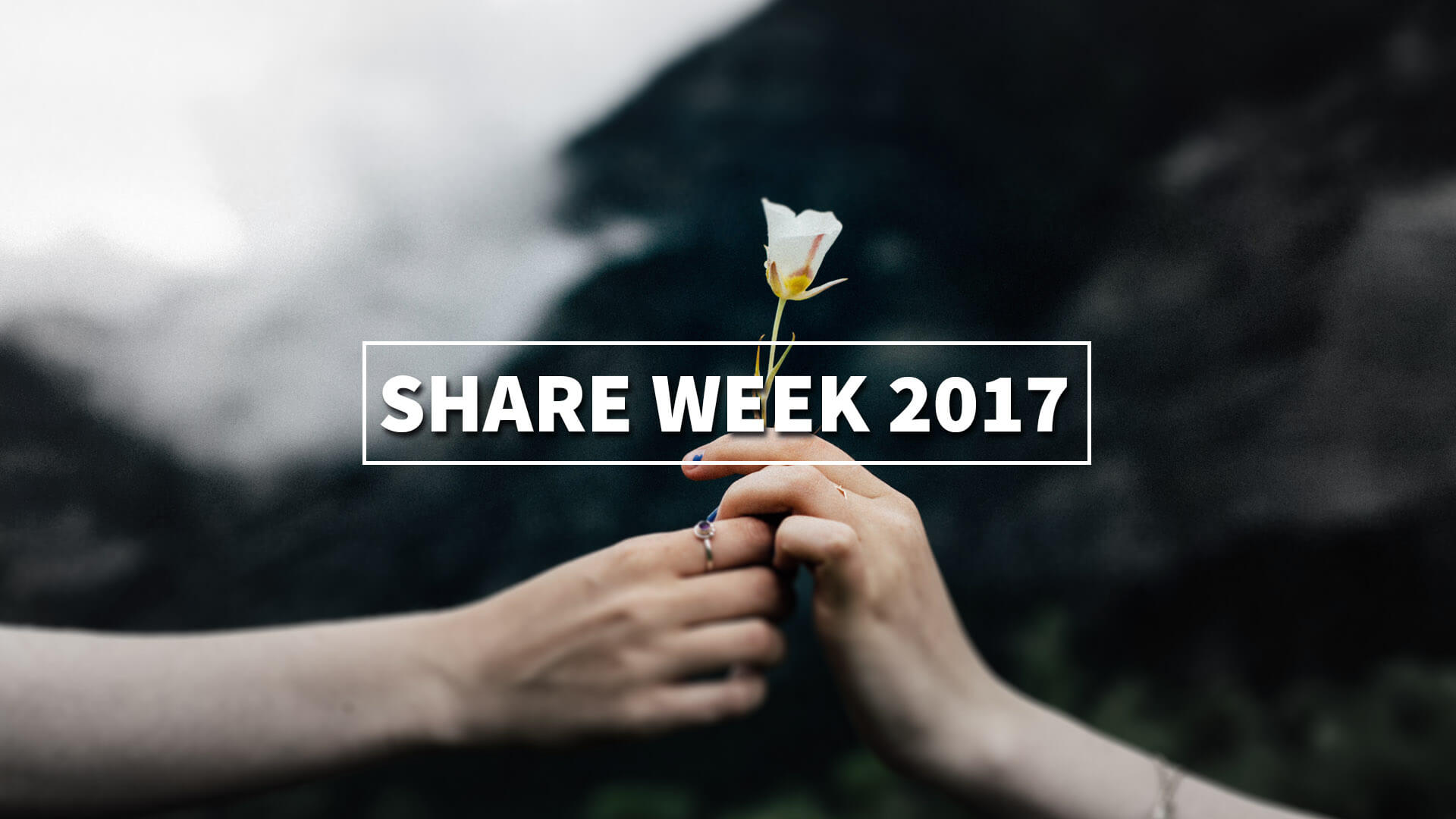share week 2017 agumama